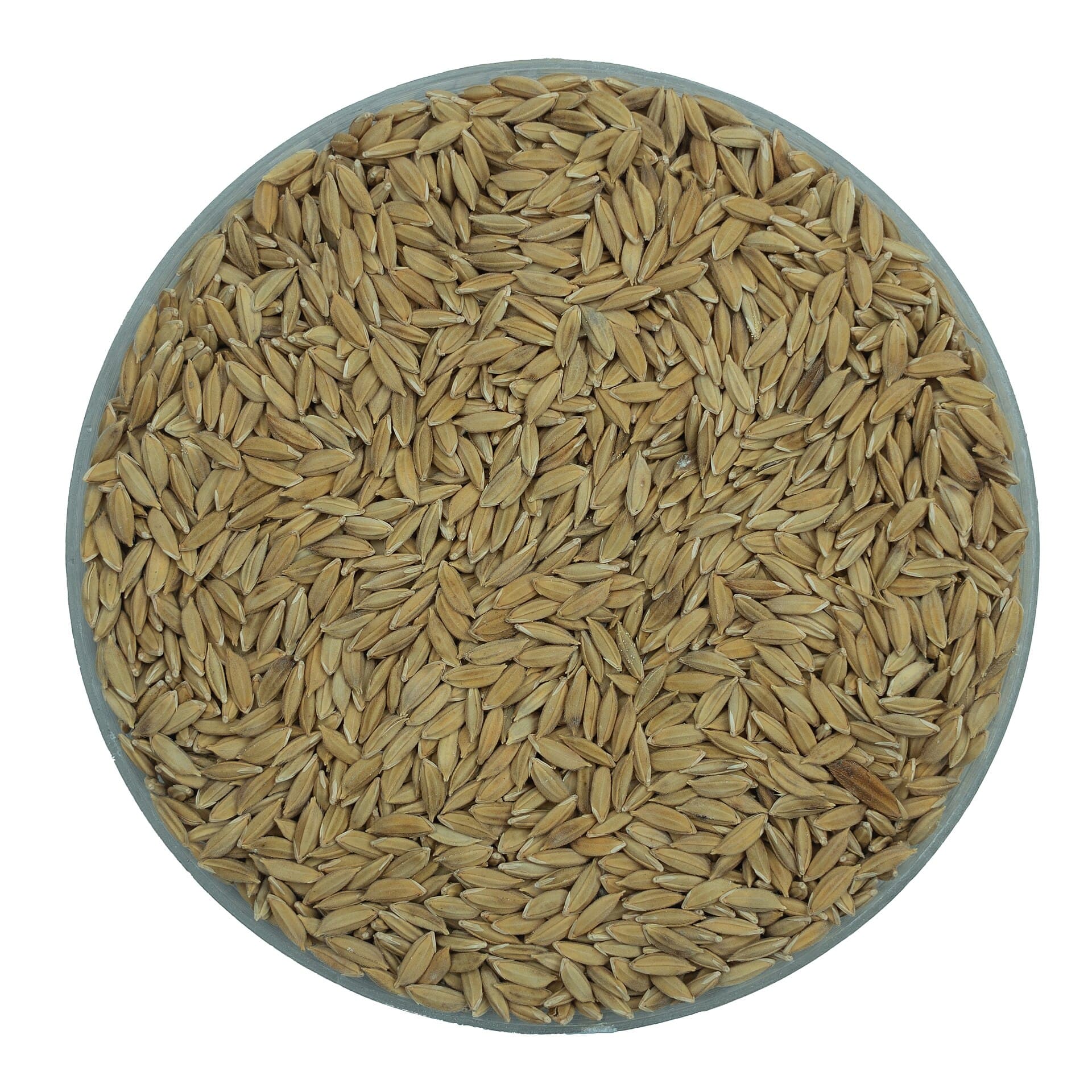 খোলা মাঠের পাশে দূরের গাছ